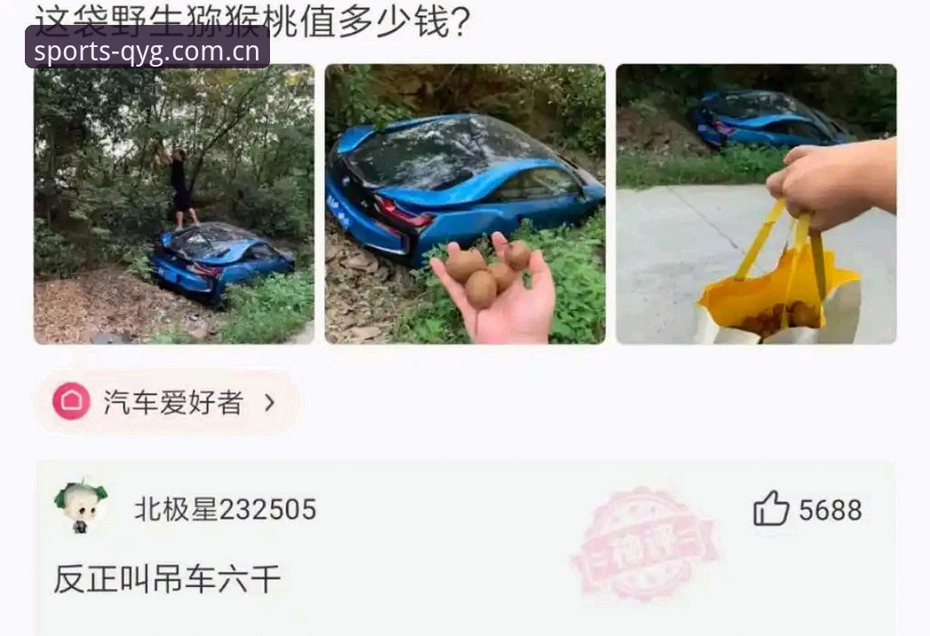 奇异果体育下载地址失效vs无法安装：专业对比分析与解决方案